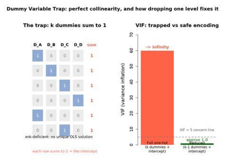 How do you solve a dummy variable trap?